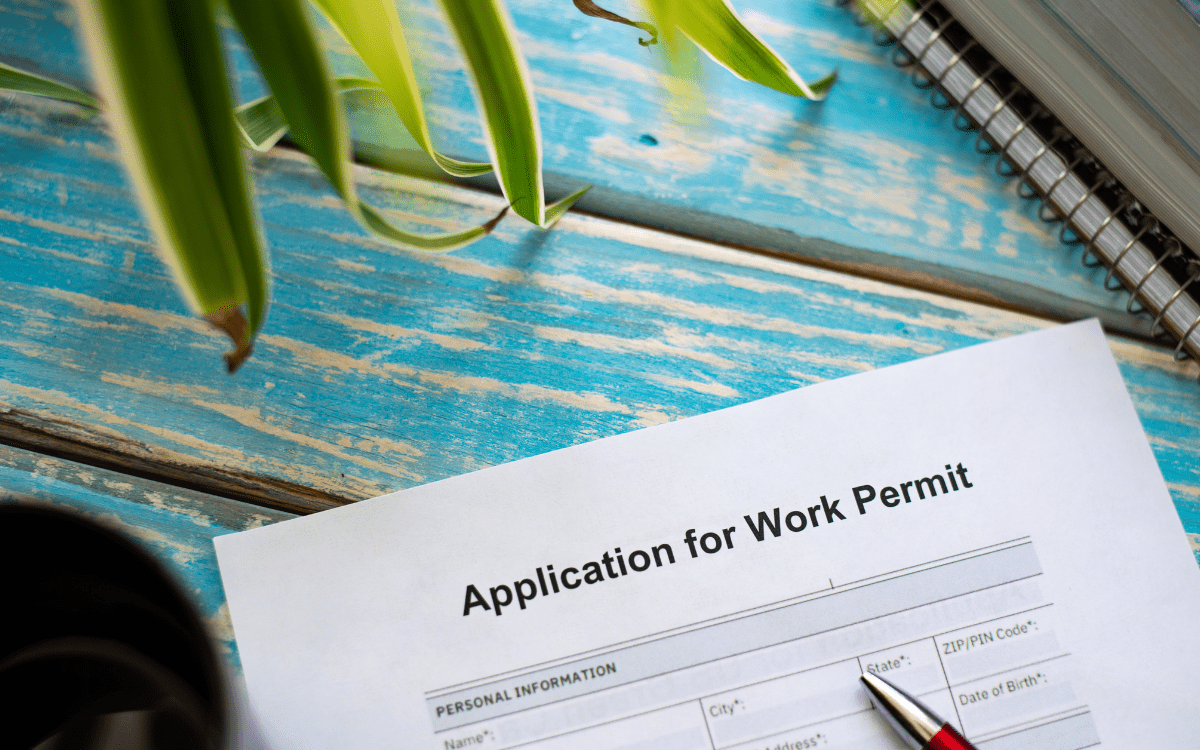 Untitled design (15)